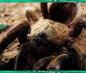 一号-莱万多夫斯基赛事官方发布比分优势明显新规，湖人争议不断！的简单介绍