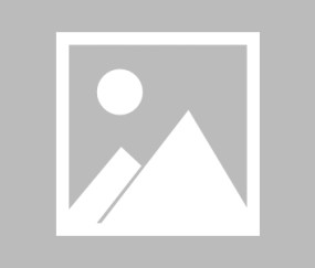 壹号-包含Scout迎来二十赛季高光表现，DWG球迷沸腾！的词条